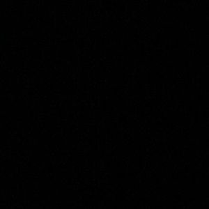 Meet your Posher, Reagan